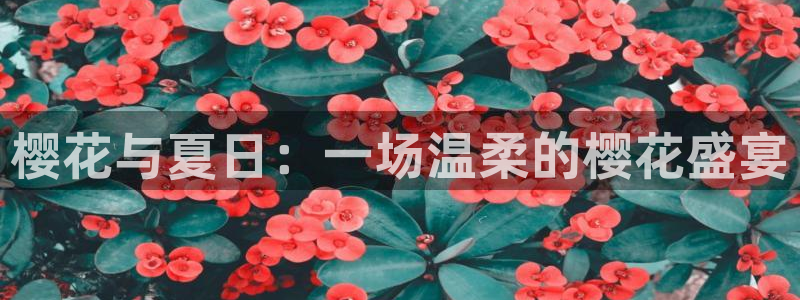 星空影视app官网