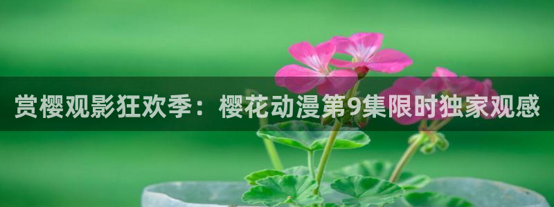 星空影视最新电视剧