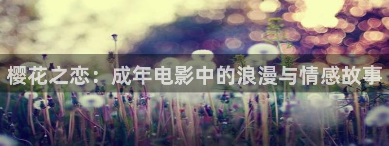 星空的壁纸