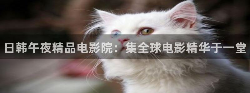 五哈5免费观看完整版樱花视频