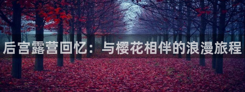 星空影视在线完整免费观看
