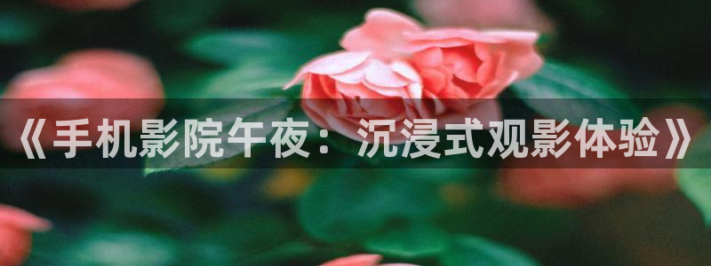 星空影视在线免费观看完整版