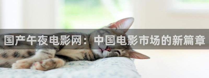 星空影视大全