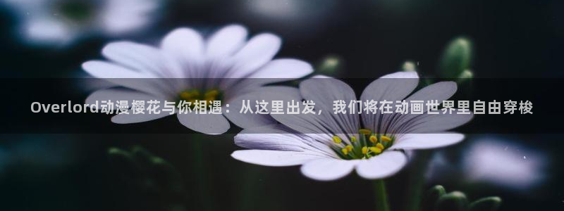 星空电影在线观看影院