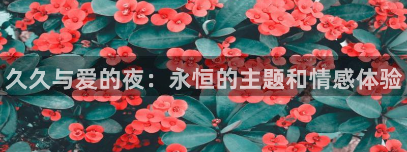 星空影视在线观看免费全集