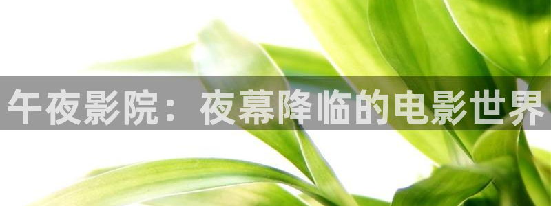 千渭星空国际影城今日影讯