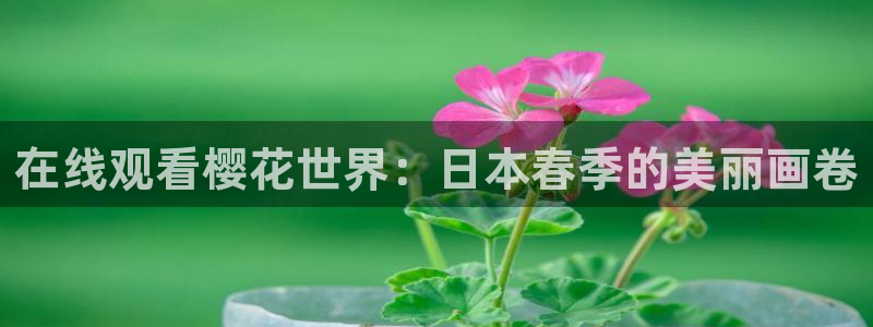 樱花视频在线观看免费版高清