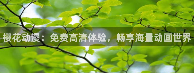 星空无限传媒电视剧在线观看策驰影院