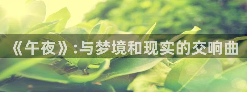 电影星空里的拼图