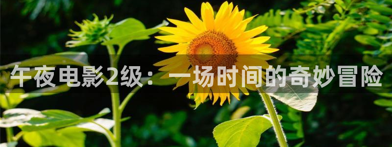 樱花视频电视剧在线播放免费观看资源