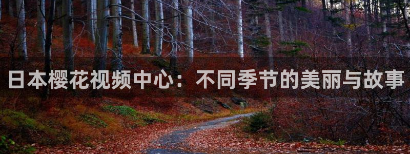 星空电影城