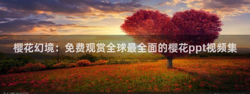 樱花视频 在线观看
