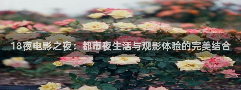 星空星空