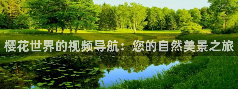 刘老根5免费看全40集樱花视频