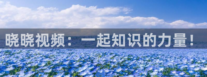 星空电影免费播放
