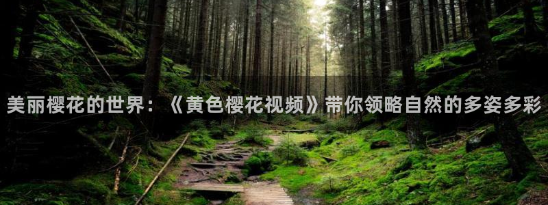 樱花视频电视剧免费观看最新